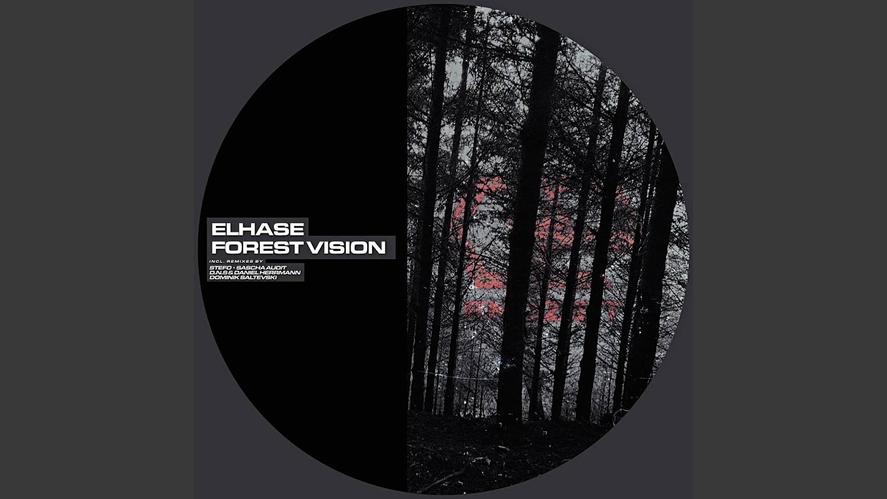 Watch Forest Vision on YouTube Watch Forest Vision on YouTube