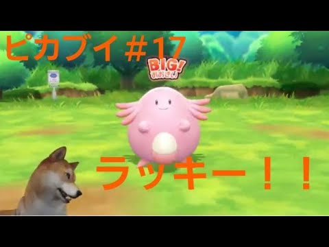 ポケモンピカブイ　ラッキーがあらわれた！！#１７