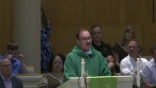 5pm Vigil Mass Homily: 15th Sunday in Ordinary Time