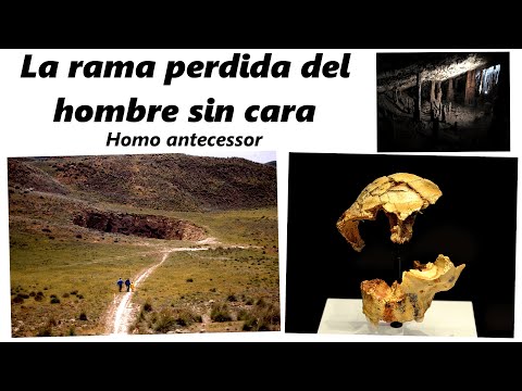 Paleomanía