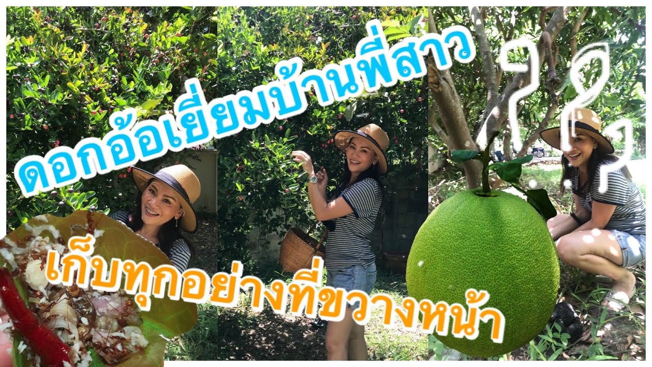 ดอกอ้อเยื่ยมบ้านพี่สาวเก็บทุกอย่างที่ขวางหน้า