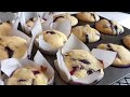 Muffins De Arándanos/ Blueberry/tips/secretos