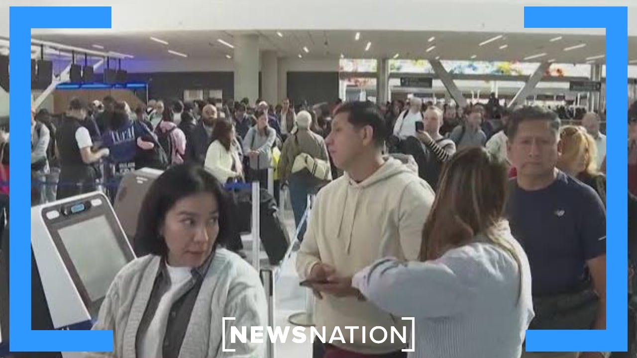 Flight disruptions persist ahead of House vote to reopen government | NewsNation Now