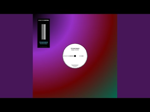 Technicsbass — INVAS