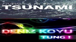 TSUNAMI TUNG NeBaX Dj (Original Mix)