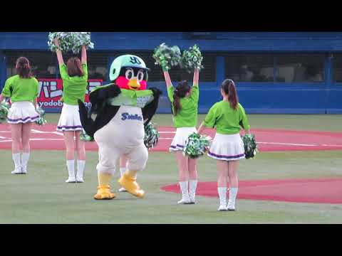 【つばめ刑事まもなく逮捕？】人間ならストーカー行為及びダンス営業妨害と公然わいせつ罪？