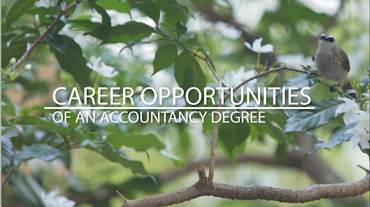 Career Opportunities of an Accountancy Degree - DayDayNews