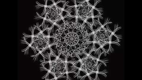 Marine Evolution  Algorithm Skeleton Yumeng Li