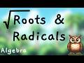 Square Roots &amp; Radicals   🦉 Arcade ALGEBRA