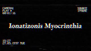 Numbers 0 To Potaria Part 5