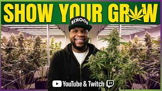 Show Your Grow On Camera with LIVE GIVEAWAYS! - Sunday Show EP20