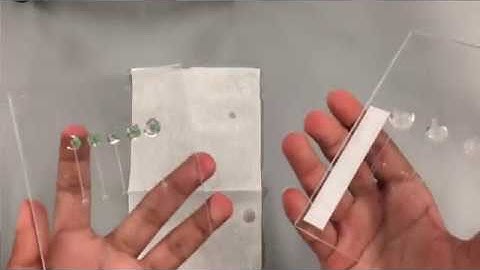 Microfluidics 101: How to Assemble a Chip