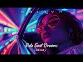 [Chillwave] DRIAYN - Side Seat Dreams (Interlude)