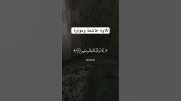 تلاوة خاشعة ومؤثرة جدا #fypシ #instagram #فرنسا #omletarcade #reels #fff #pakistan #religion
