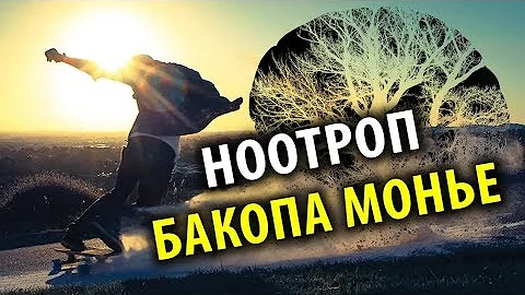 Бакопа: Развитие Мозга