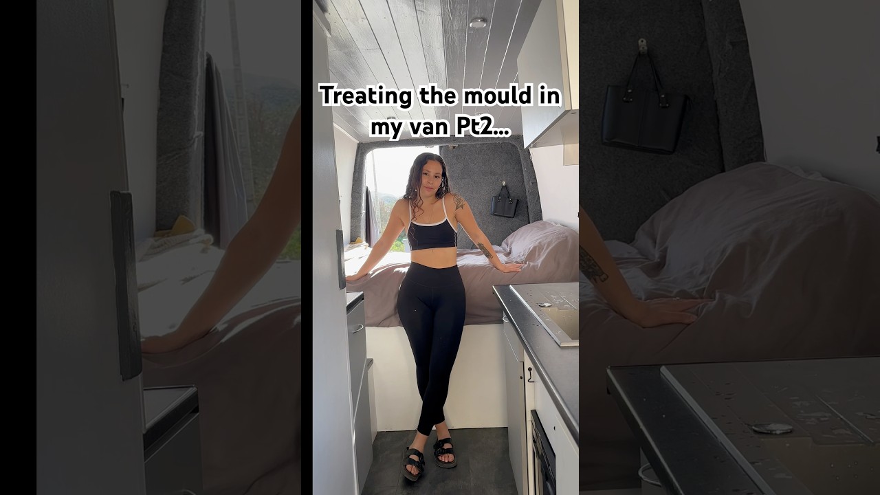 Vanlife — Боремся с плесенью в фургоне, часть 2! 