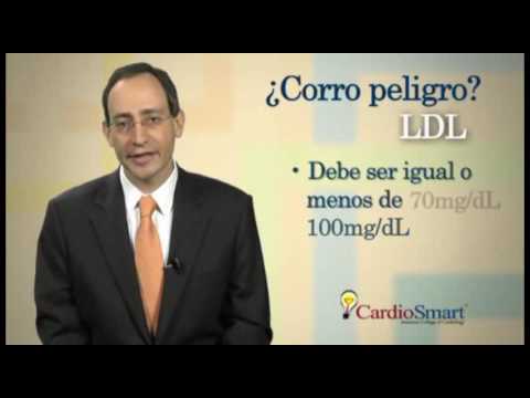 CardioSmart En Español | Lipoproteínas de Baja Densidad (LDL)