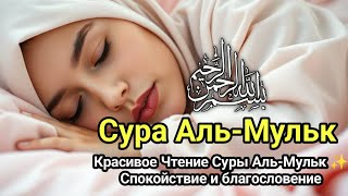 Сура Аль-Мульк — Чтение перед Сном для Защиты и Бараката