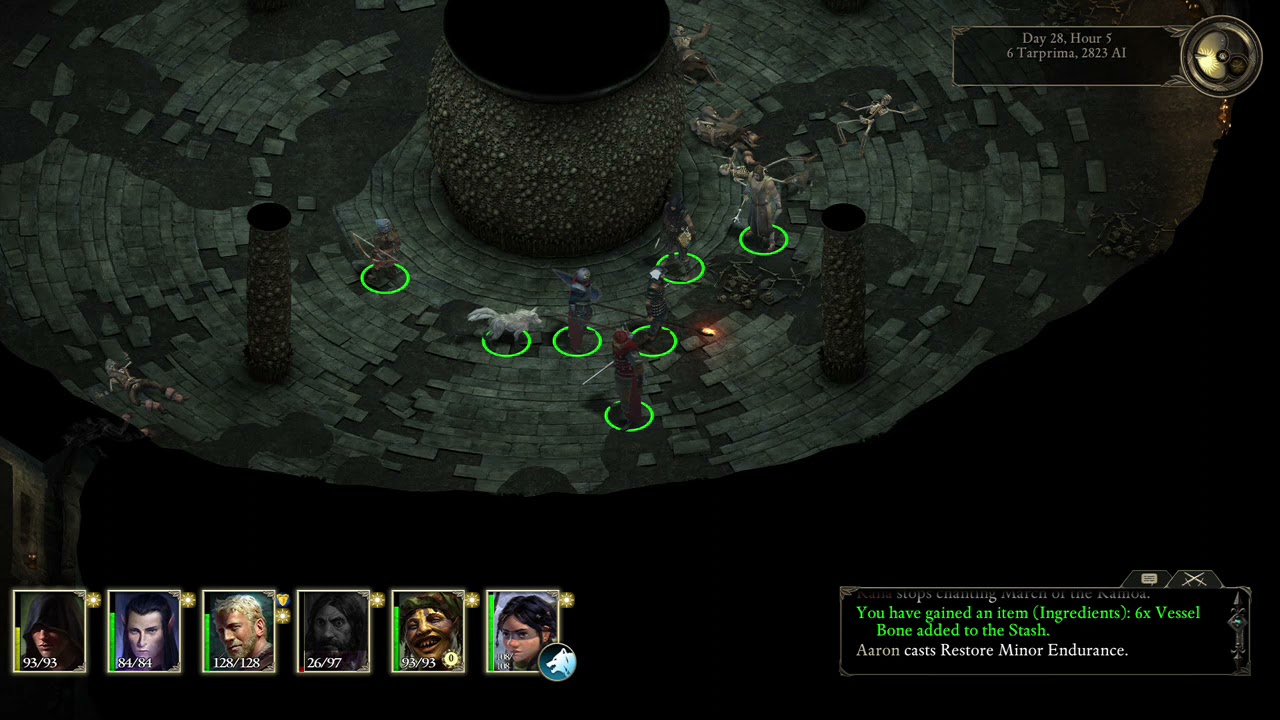 PILLARS OF ETERNITY COMPLETE EDITION Priest Copperlane