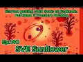 Stardew Valley Sunflower Ep140 Y3 Summer- 27-28: Started getting Void Souls at Badlands.