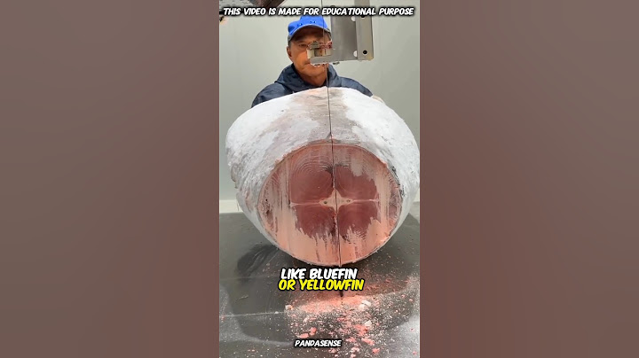 🤯Worlds Most Expensive VS Most Cheapest tuna Fish