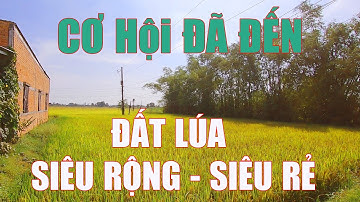 ( đã bán ) Đất Lúa Siêu Rẻ ĐỨC HÒA - LONG AN l Lên Thổ Được - Đầu Tư Dài Hạn Siêu Lơi Nhuận l
