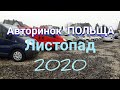 Авторинок в ПОЛЬЩІ 2020. Хороші ціни. Листопад. Авто в Польщі