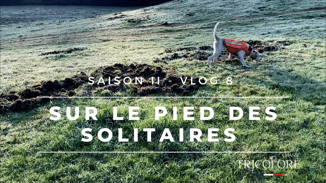 ★ Vlog 8 - Sur le pied des solitaires