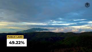 Central Mtns, Nebo (16A) | Utah Mule Deer