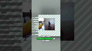 Decoding Parrot Aggression: Understanding and Managing Their Behavior.