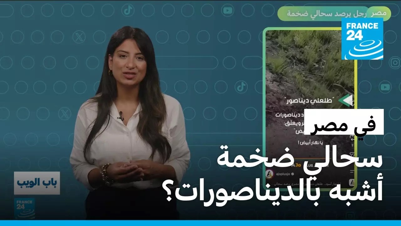 ���: ��� ���� ����� ���� ���� ������������! � ����� 24
 - نشر قبل 15 دقيقة