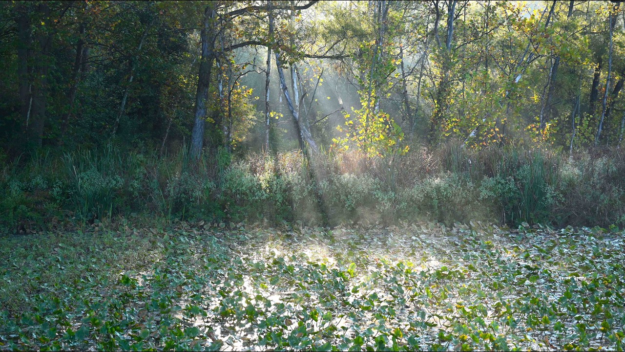 Cuyahoga Valley National Park