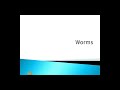 Module 4: Worms in Principles of Information Security - Malayalam
