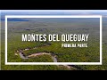 Montes del Queguay, parte I - programa Contacto