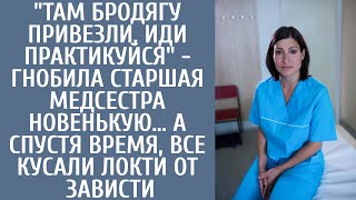 "Там бродягу привезли, иди практикуйся" - гнобила старшая медсестра новенькую… А едва тот очнулся