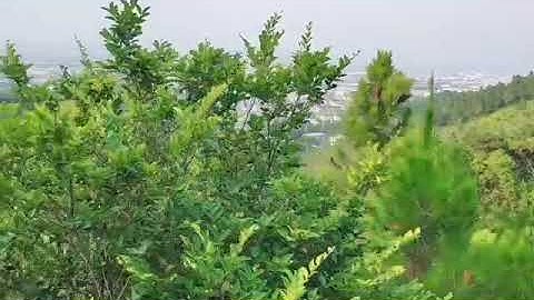 góc nhìn KCN Quế võ Bắc Ninh