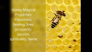 Magical Food - Honey