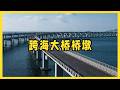 海水太深，中國大橋橋墩怎么造？全程震撼 #跨海大桥，桥墩施工，深海打桩，中国基建