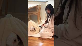 Memories & 칵테일 사랑