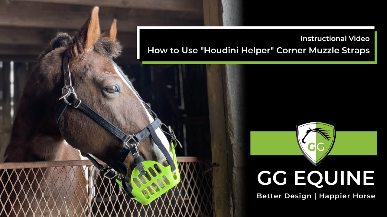 (preApril 2023) GG Equine's "Houdini Helper" Hook 'n' Loop Corner