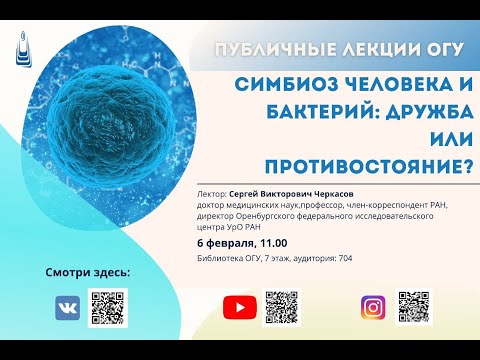 Симбиоз человека и бактерий: дружба или противостояние?