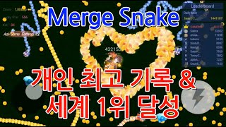 [GAME WORLD] Merge Snake - 세계 1위 달성 & 개인최고기록 달성 screenshot 3