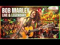 Reggae Chill Mix 2026 | Bob Marley, Protoje, Chronixx | Relaxing Island Vibes