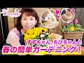 すずちゃん、ちびちゃんと一緒に春の簡単ガーデニング！