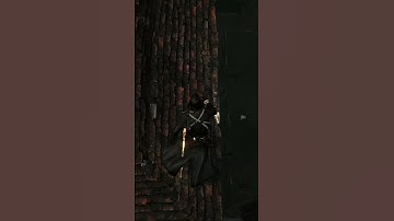 AC Unity (ACUFixes Mod) Stealth Kills