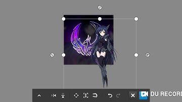 Avi Tutorial (Ps Touch)