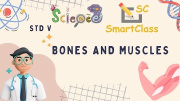 Bones and Muscles CBSE class 5 Science