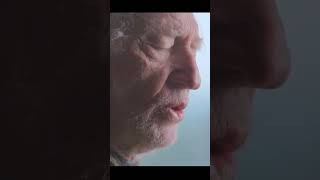 Summertime - Willie Nelson