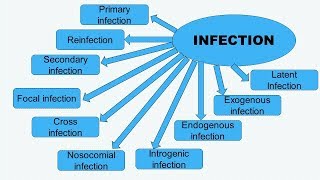 Infection and Types of Infection in English - Microbiology with Sumi -  YouTube