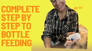 2nd Video on what to do if you find abandoned neonatal kittens